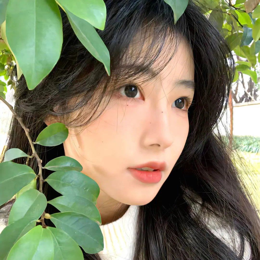 黑欲连环套